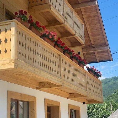 ホテル Anahouse Vişeu de Sus エクステリア 写真