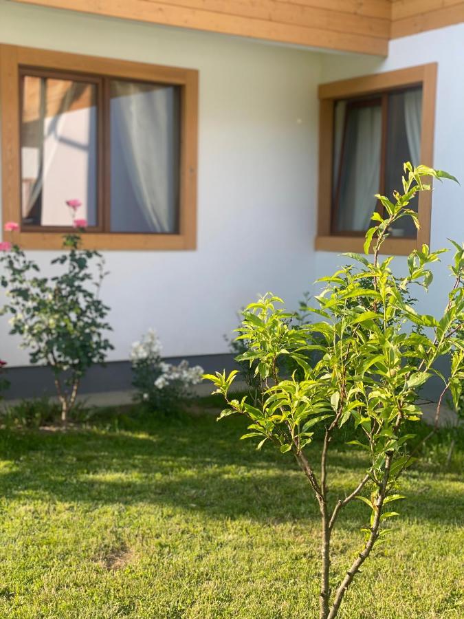 ホテル Anahouse Vişeu de Sus エクステリア 写真
