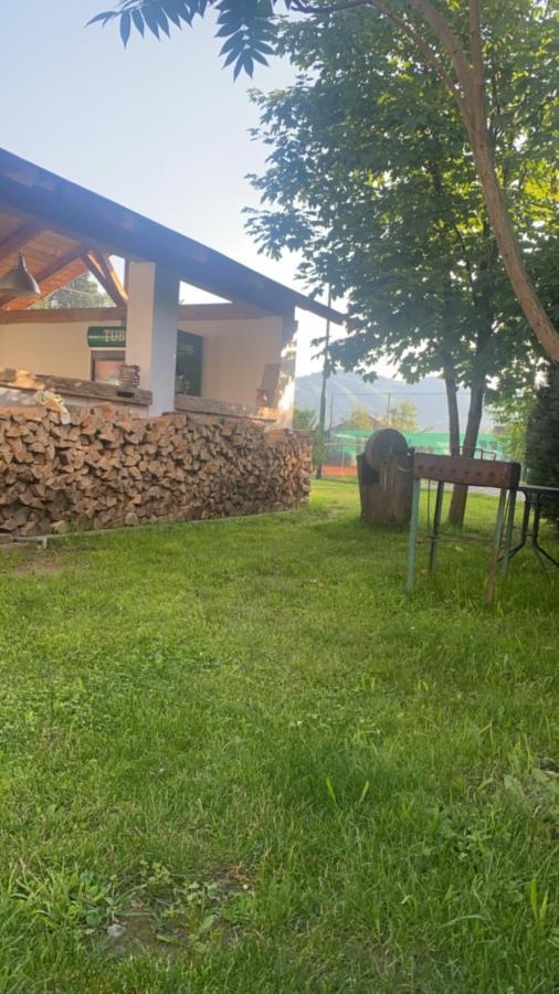 ホテル Anahouse Vişeu de Sus エクステリア 写真