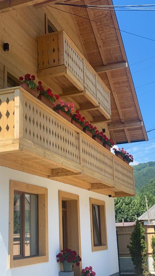 ホテル Anahouse Vişeu de Sus エクステリア 写真
