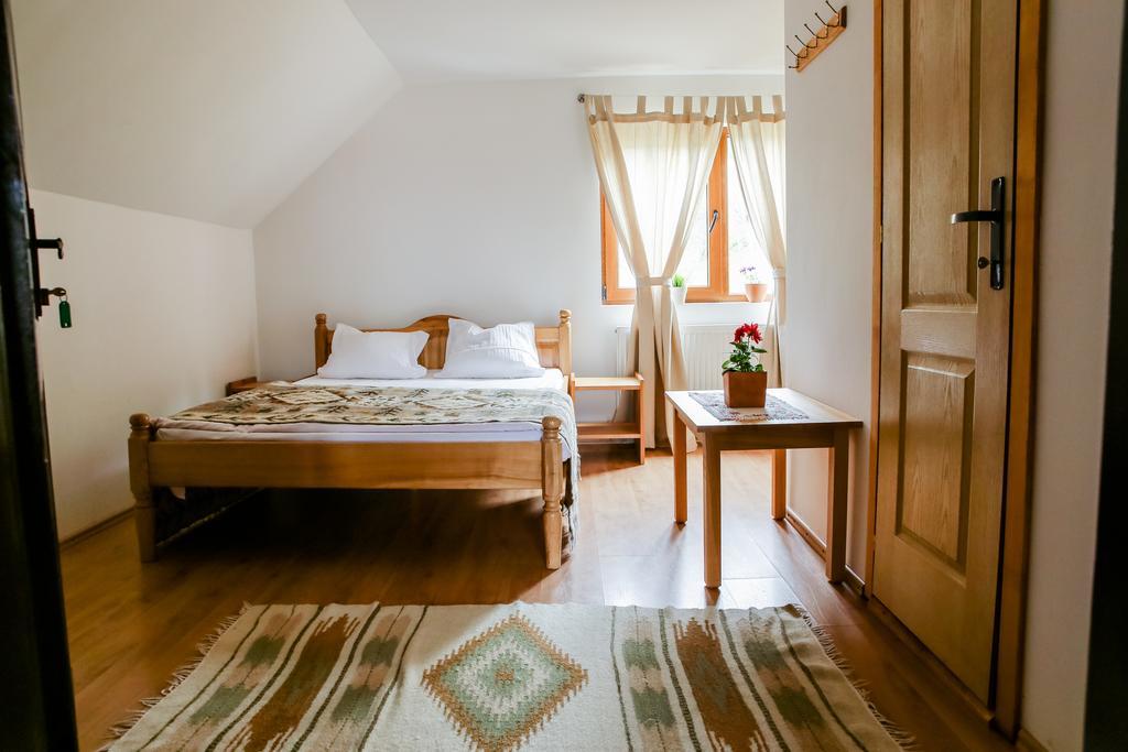 ホテル Anahouse Vişeu de Sus 部屋 写真