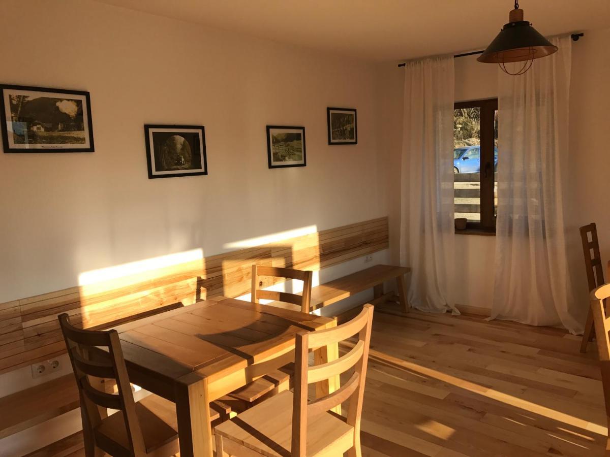 ホテル Anahouse Vişeu de Sus エクステリア 写真