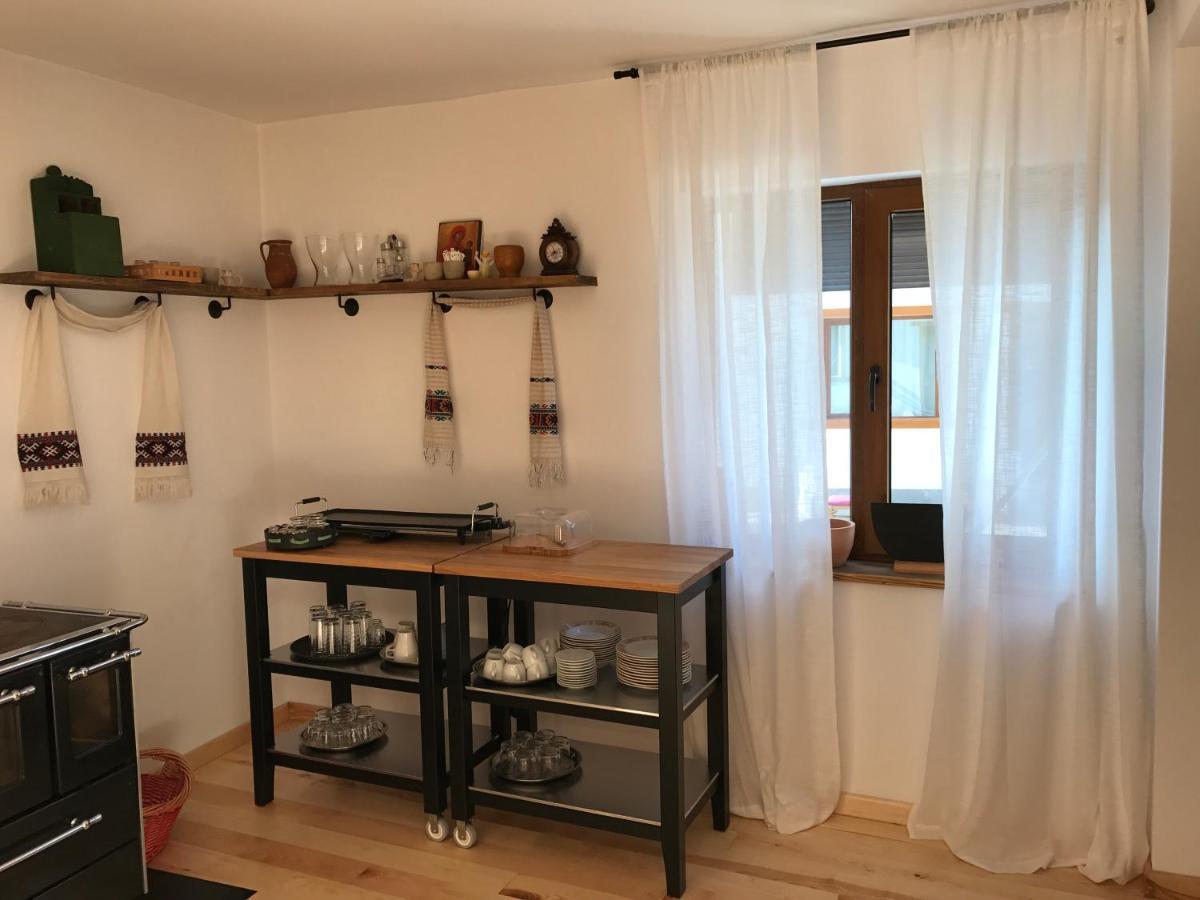ホテル Anahouse Vişeu de Sus エクステリア 写真